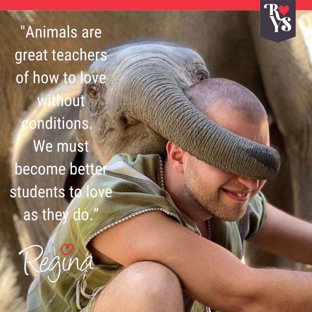 elephant and man