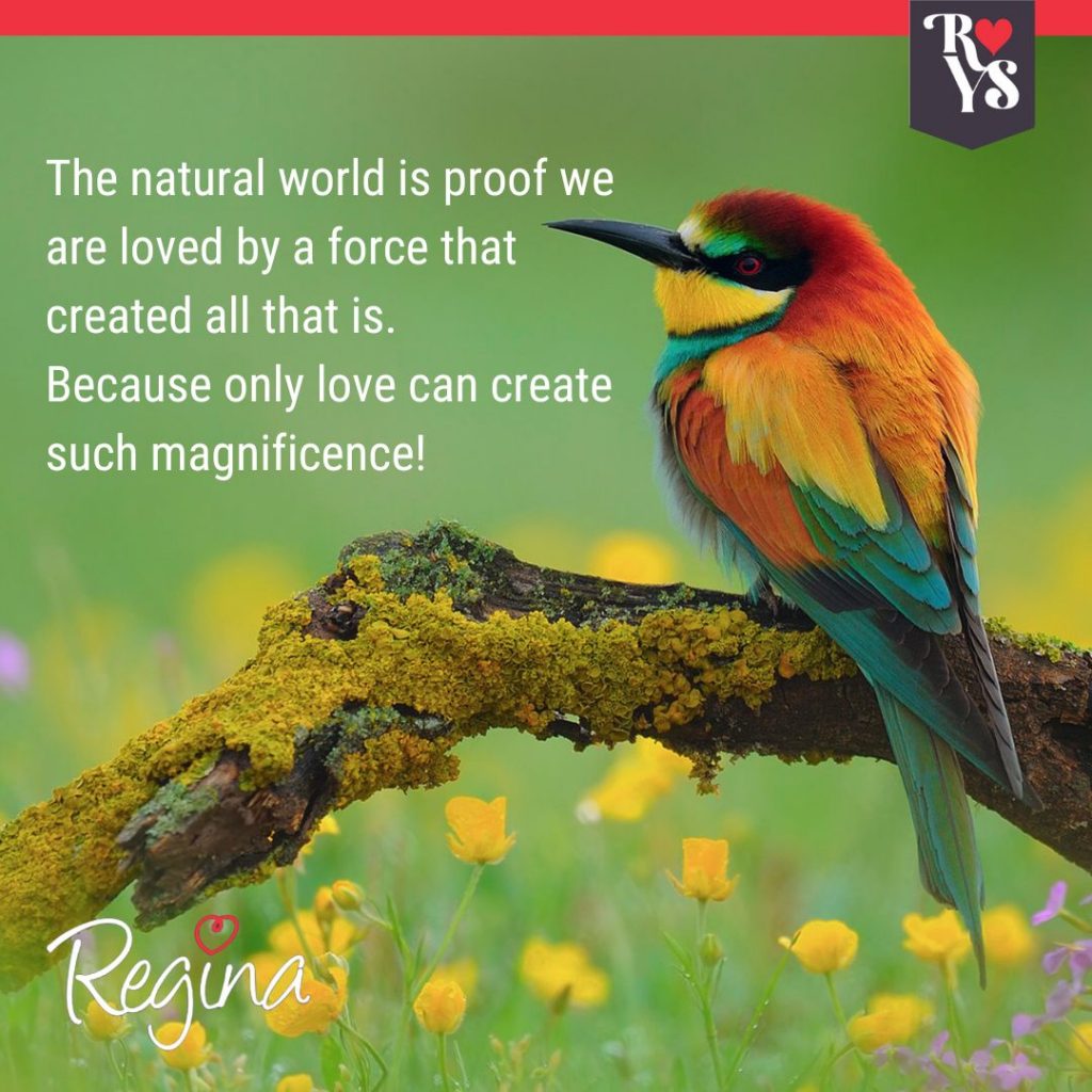 natural world and love